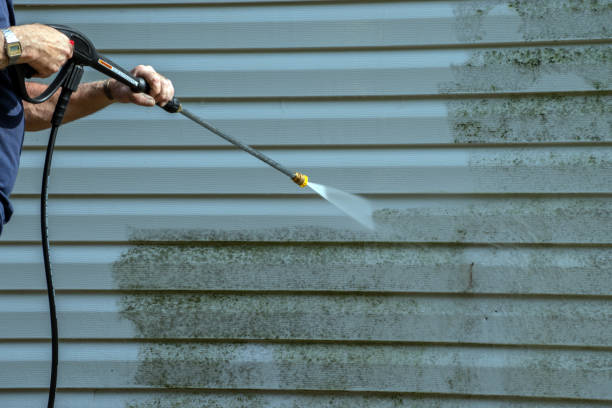 Best Residential Pressure Washing Services  in Burt, MI