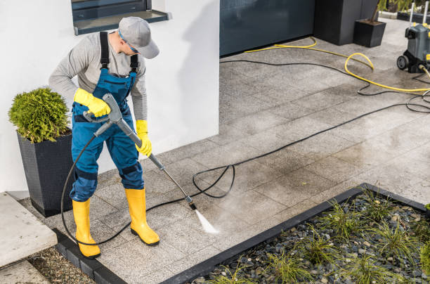 Best Roof Pressure Washing  in Burt, MI