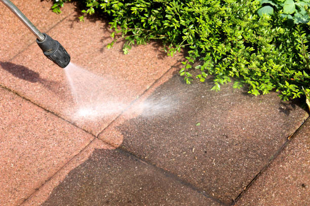 Best Residential Pressure Washing Services  in Burt, MI