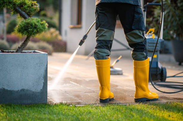 Best House Pressure Washing  in Burt, MI